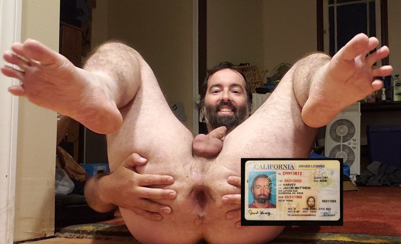 Jacob Harvey Cocksucker